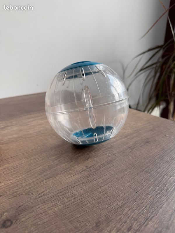 Roue hamster (image 1)