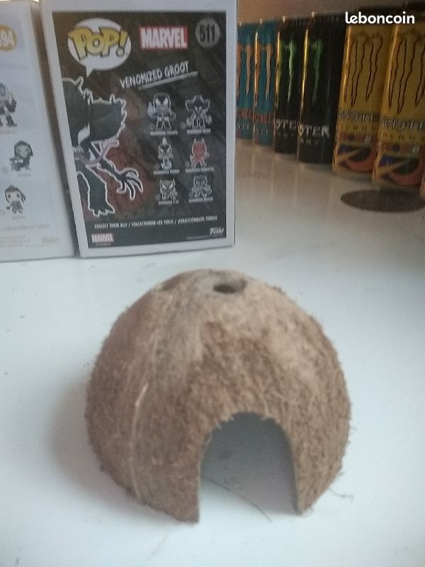 Cachette en coco (image 1)