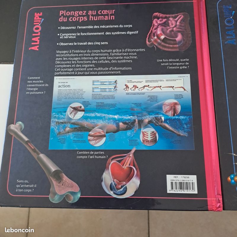 Lot de 2 livres jeunesse (image 5)