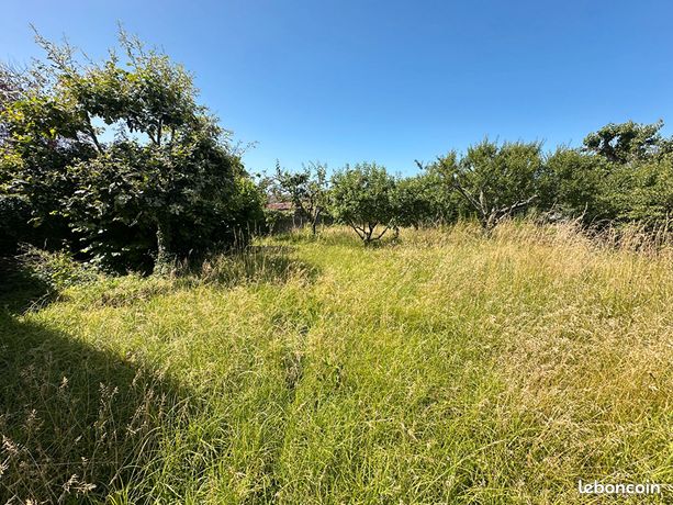 Terrain 1068 m² VILLIEU LOYES MOLLON