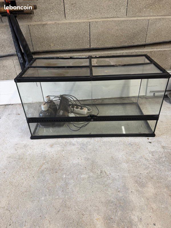 Terrarium (image 1)