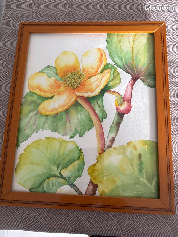 Peinture nature morte aquarelle (image 1)