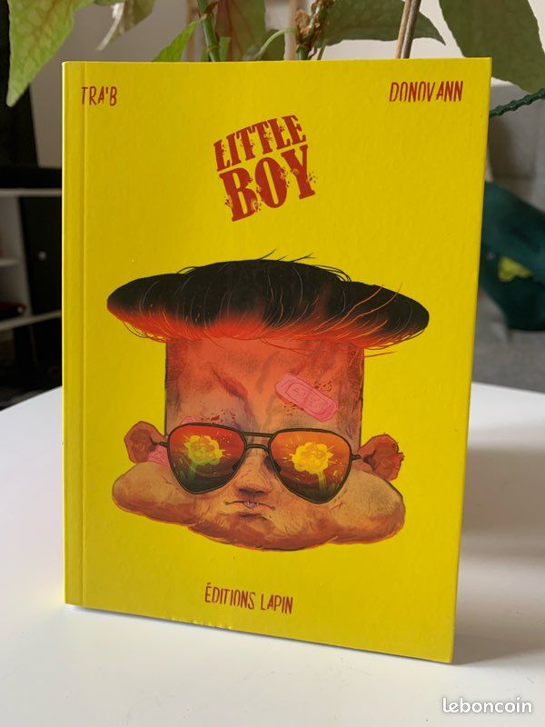 Lot 5 livres éditions Lapin (image 4)