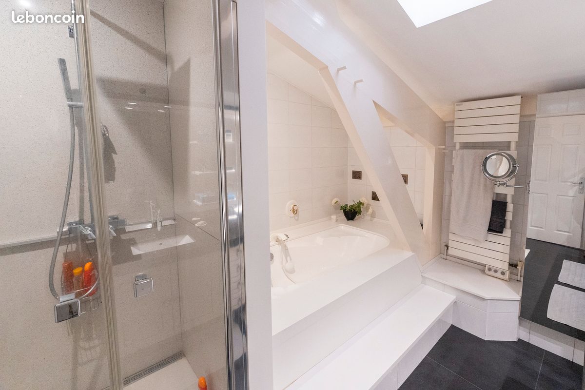 MAISON DE CARACTÈRE 200 m² + LOGEMENT INDÉPENDANT 55 m² + PISCINE COUVERTE- Creysse, proche BERGERAC (image 11)