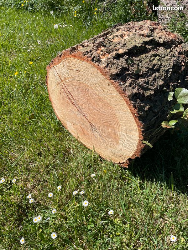 Rondin de bois en deco (image 3)