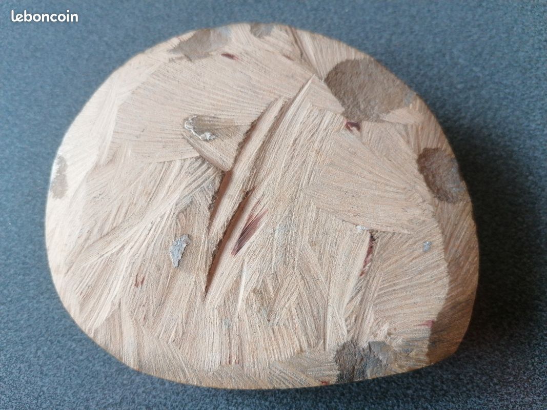 Ammonite (image 2)