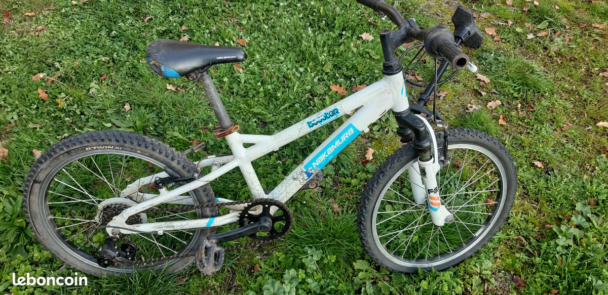Vélo 20 pouces (image 1)
