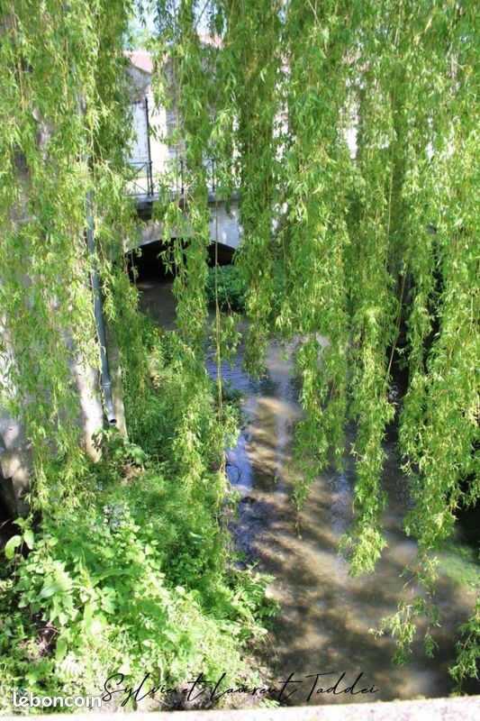 Maison 17 pièces 330 m² - Barbezieux-Saint-Hilaire 16300 (image principale 7)