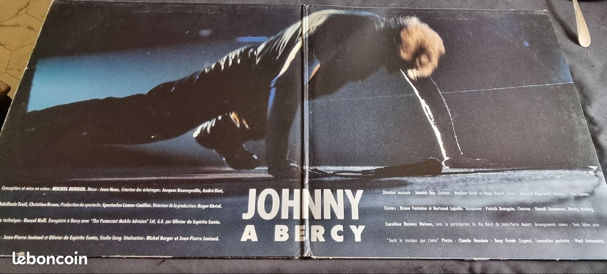 Vinyle johnny hallyday 2 disques (image 2)