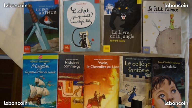 Livres jeunesse de 9 a 12 ans - reste Magellan uniquement (image 1)