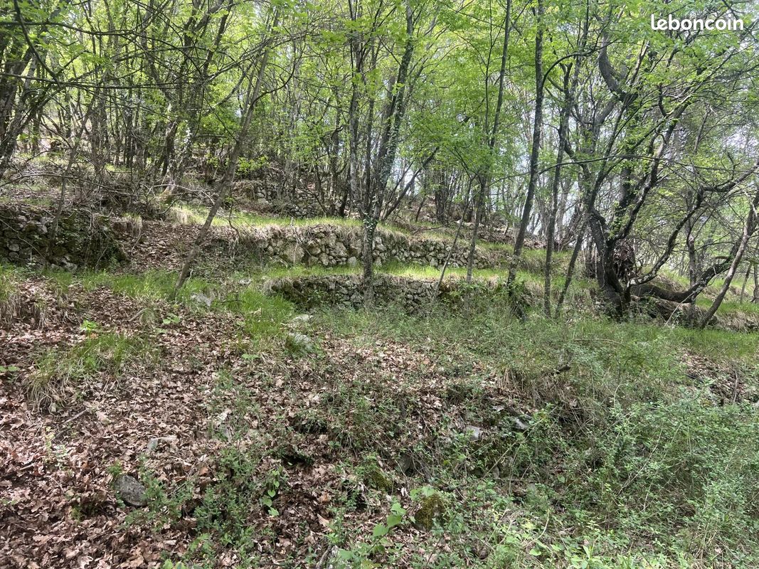 Terrain 6377 m² · à Sospel · 6 377 m² · 35 000 €
