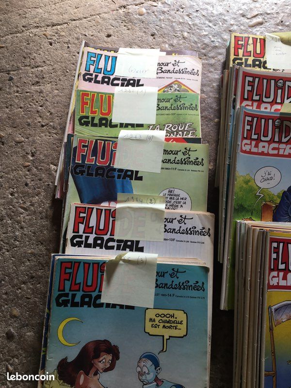 Fluide glacial (image 2)