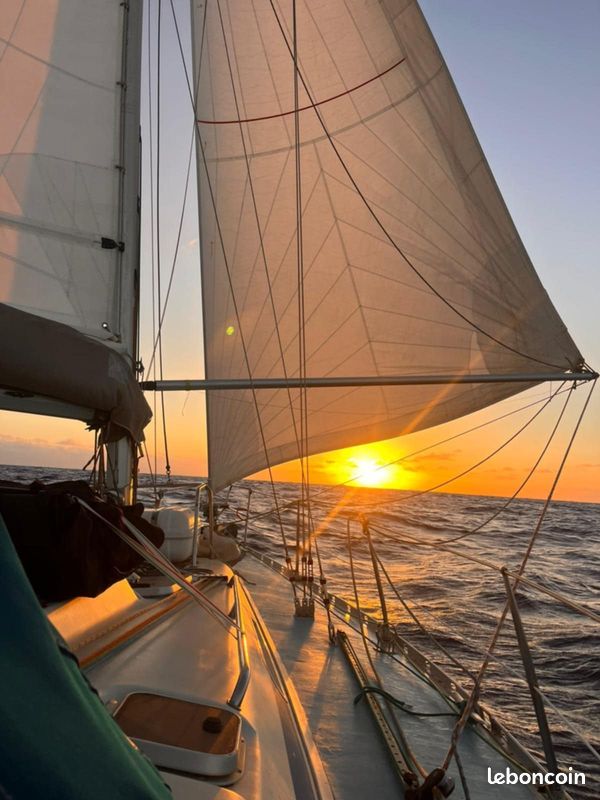 Voilier 11m Bavaria 38 (image 5)