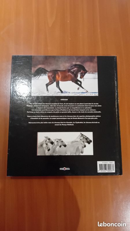Le livre des chevaux (image 2)