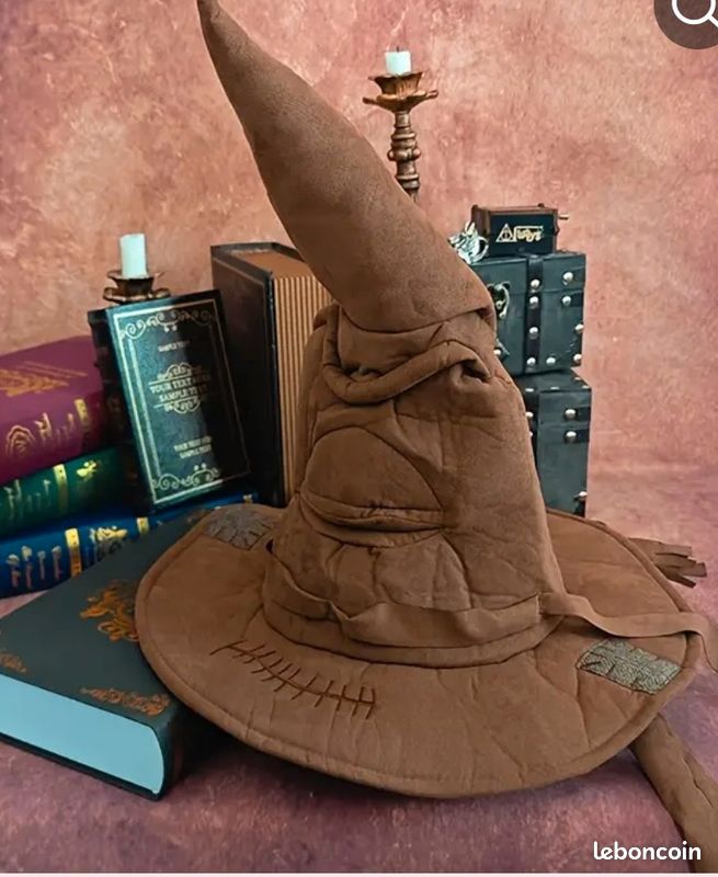 Chapeau de Poudlard dans Harry Potter (image 1)