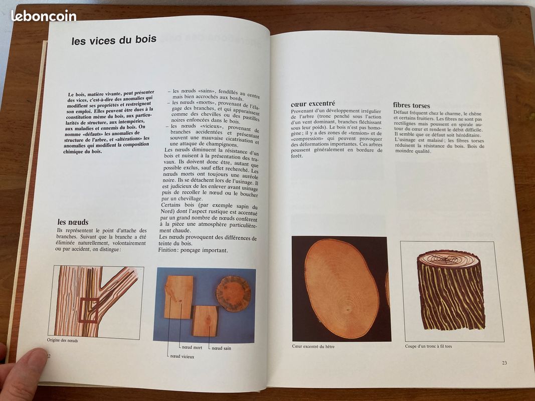 Comment choisir son bois guide pratique du bois éditions Kity Yves Touchard et Alphonse Meyer (image 16)
