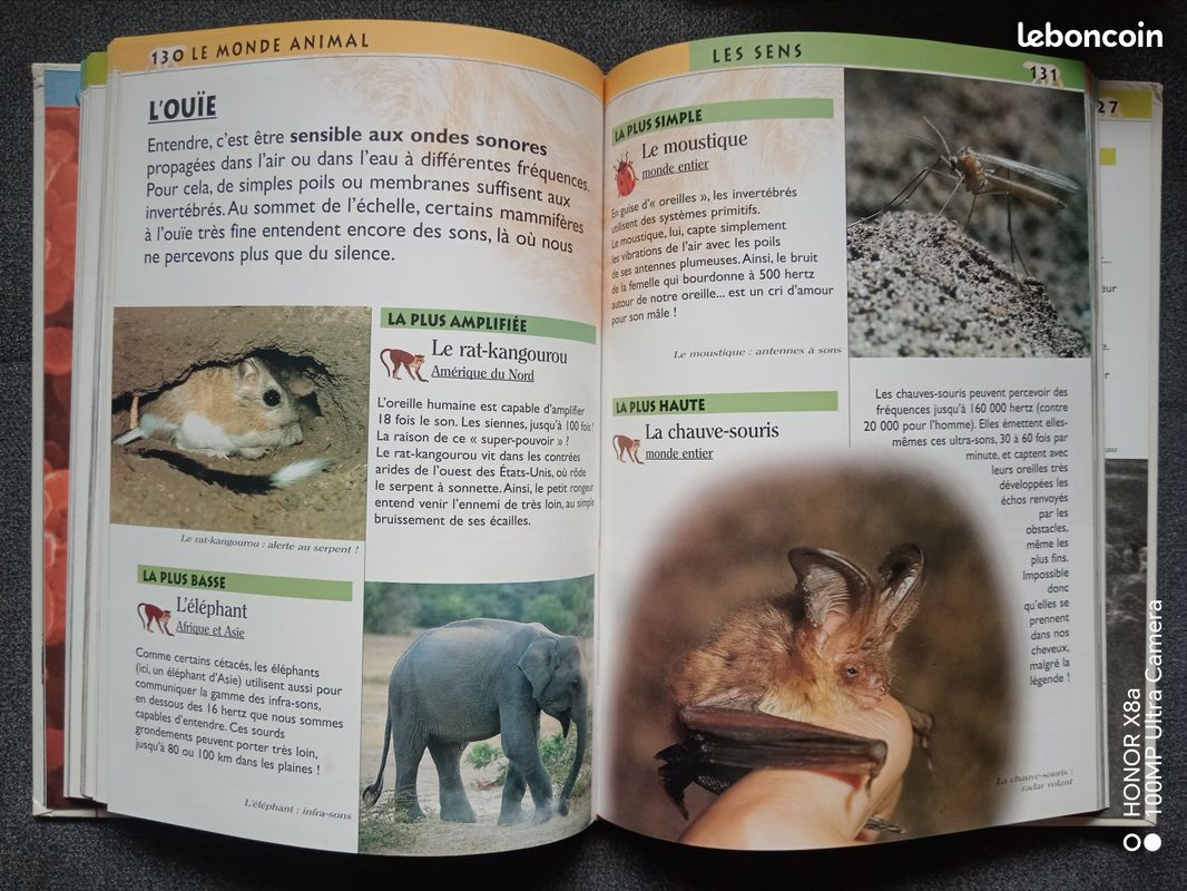 Droles de records (image 2)