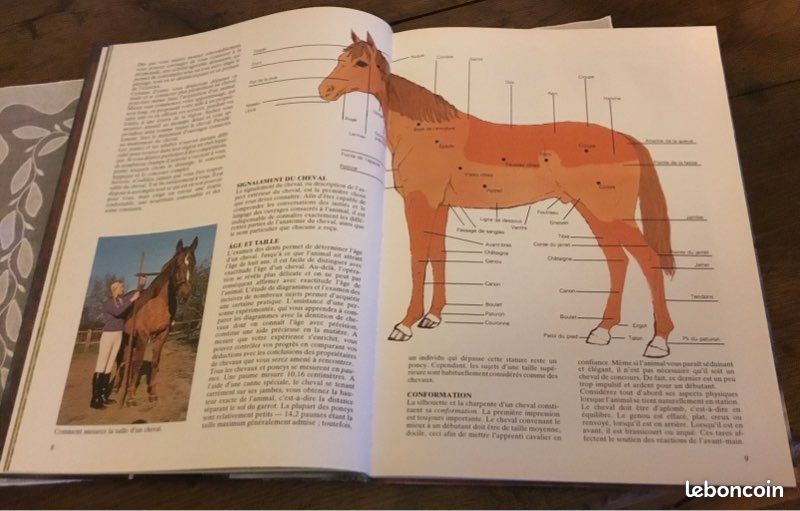 BIEN MONTER A CHEVAL EDITIONS GRUND très bon état (image 5)