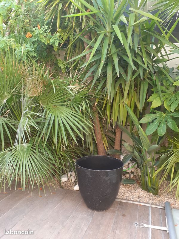Grand pot de fleurs noir effet pierre 34x38cm (VENDU SEUL SANS PLANTE) (image 10)