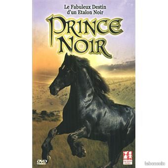 Dvd Prince noir le fabuleux destin d'un étalon noir (image 1)