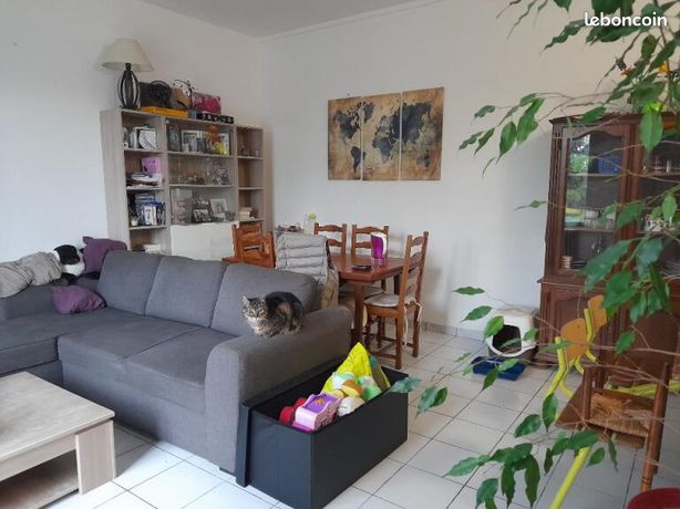Maison en campagne