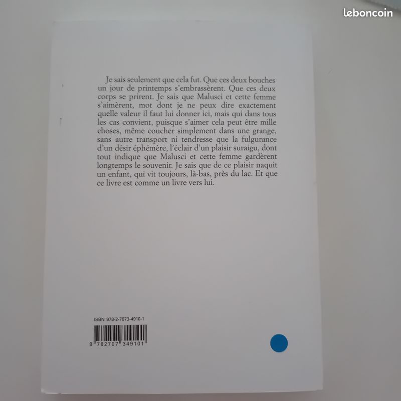 L'enfant dans le taxi - Sylvain Prudhomme (image 2)