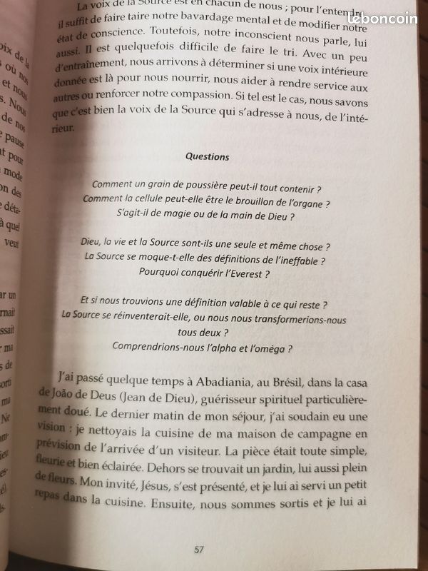 La Pratique chamanique au Quotidien (image 5)