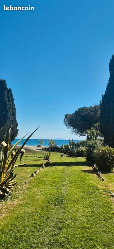 Appartement 1 pièce 24 m² · à San-Nicolao · 24 m² · 84 000 €