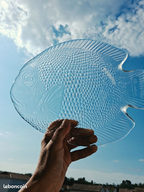 Lot de 2 assiettes poisson en verre moulé Codec Arcoroc vintage (image 1)