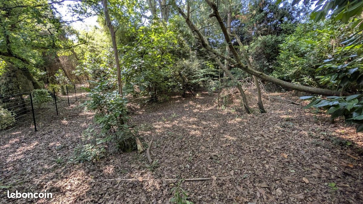 Terrain 1 057 m² Saint Pierre Du Mont · à Saint-Pierre-du-Mont · 97 000 €