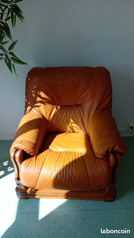 Fauteuil Cuir (image 2)
