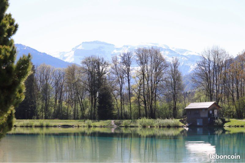 Appartement aux pieds des pistes (image 10)