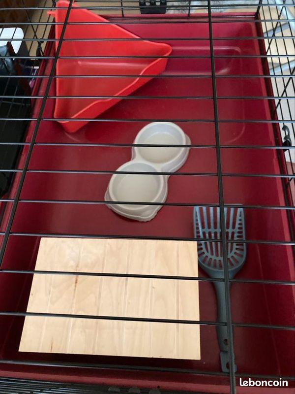 Cage a rongeurs (image 1)