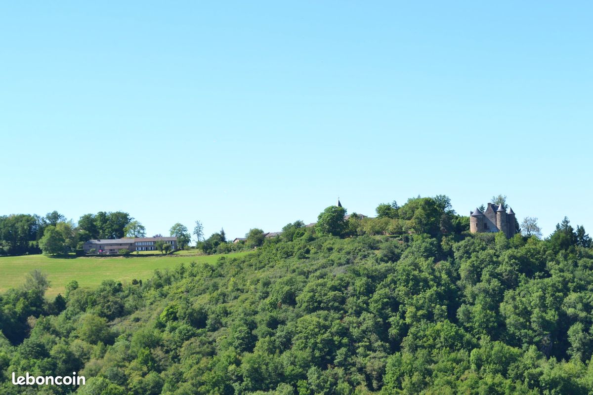 GITE L'ESTABLE Vallée du Tarn (image 10)