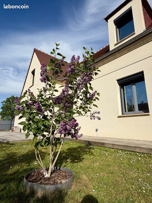 Maison 7 pièces 160 m² · à Saint-Léger-aux-Bois · 160 m² · 367 000 €