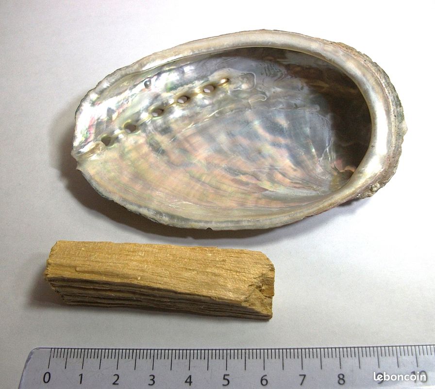 Pack Palo santo et Abalone (image 5)