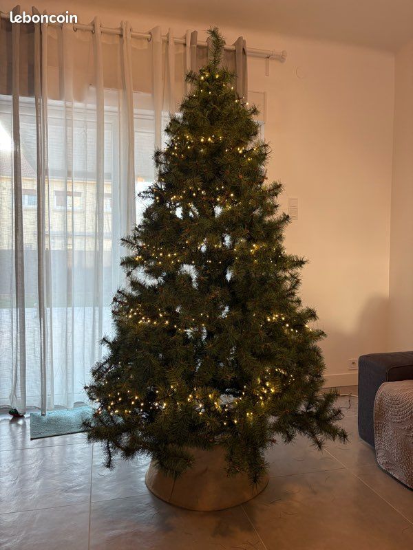 Sapin de Noël (image 1)