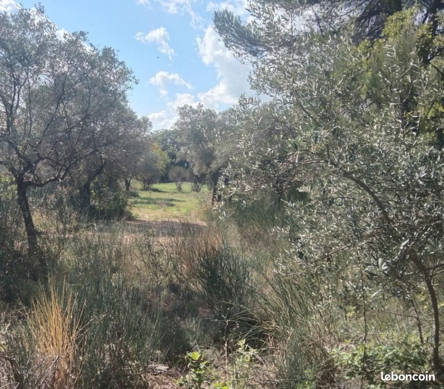 Terrain 1 000 m² La Bastide Des Jourdans · à La Bastide-des-Jourdans · 160 000 €