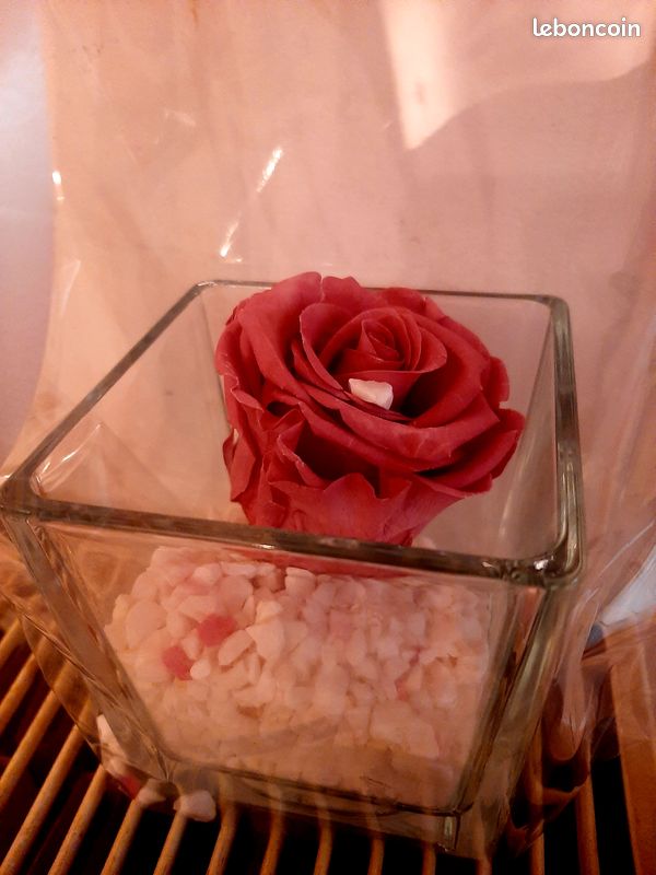 Rose éternelle (image 2)