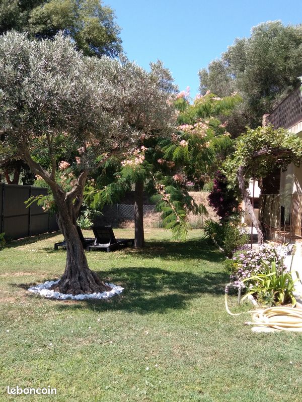 Appartement rez-de-jardin, piscine, proche plage, climatisation et Wifi, quartier paisible des Bormettes (image 5)