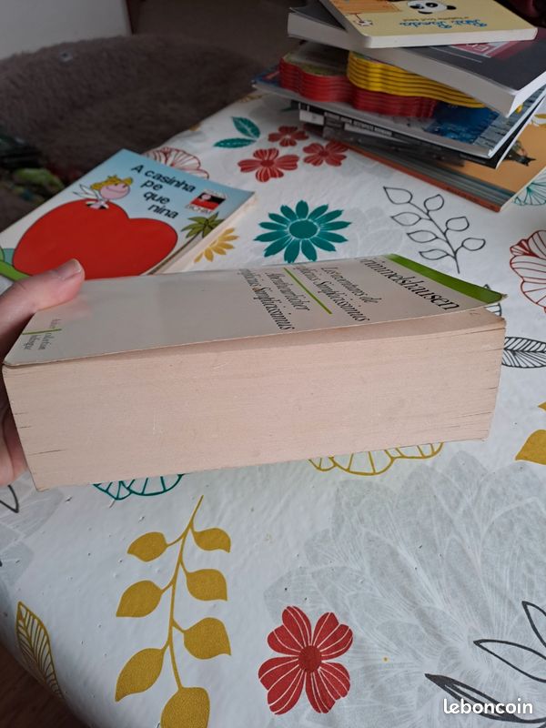 Les aventures de simplicissimus (image 6)