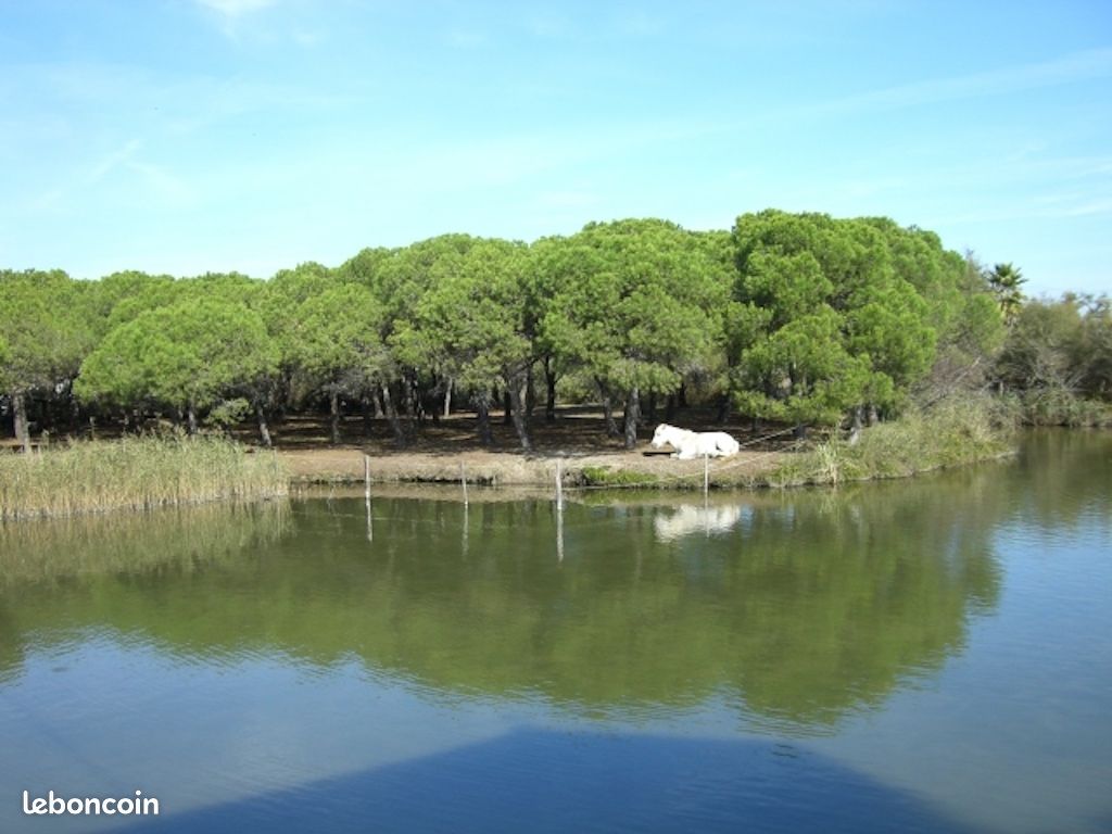 Maison de vacances Camargue 2km mer et village (image 8)