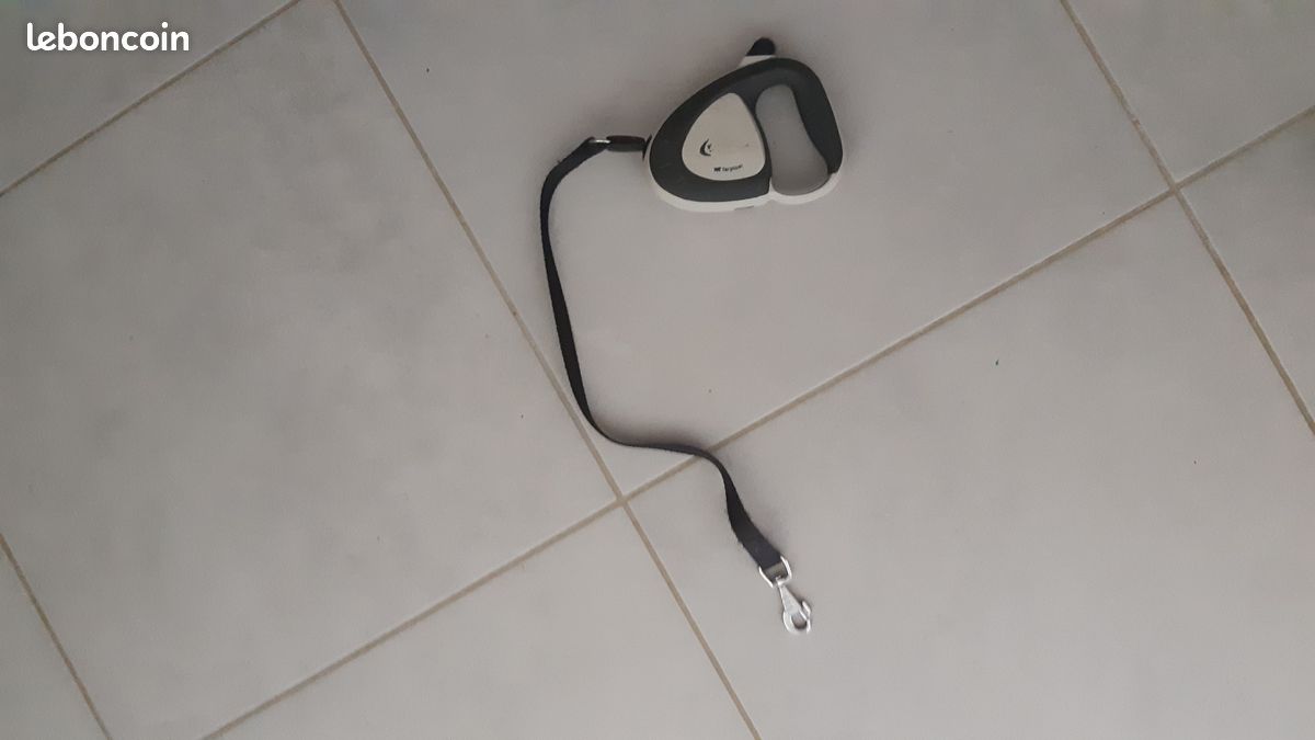 Laisse enrouleur Flexi 3m (image 2)