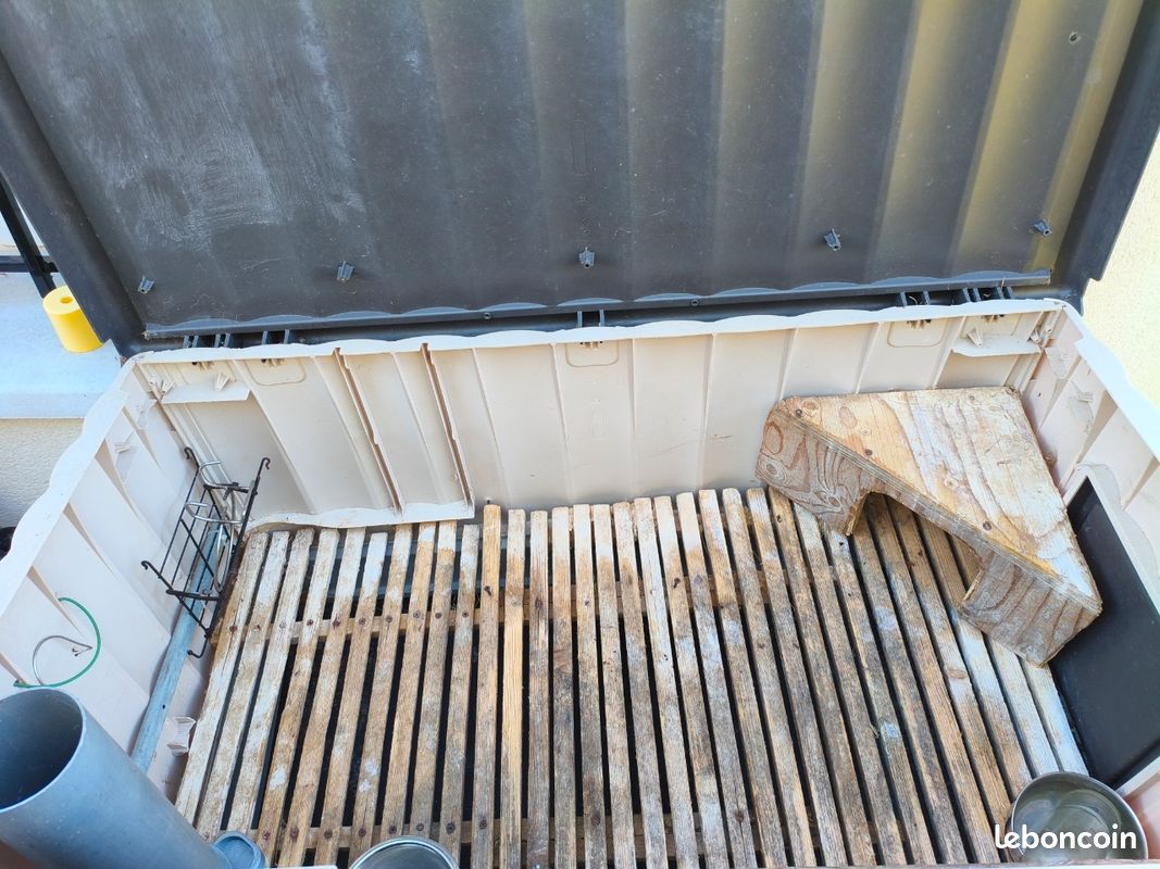 Cage amster,lapin cochon d'Inde (image 2)