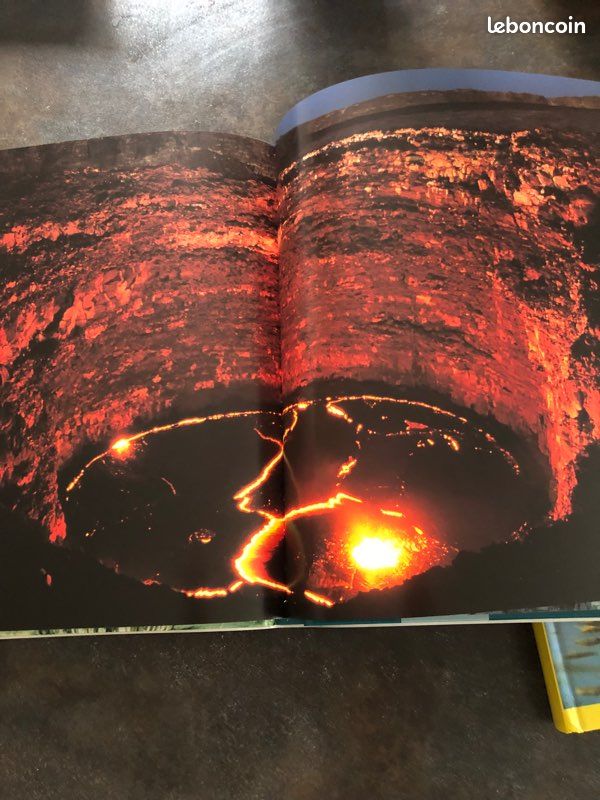 Livre Incroyable nature (image 4)