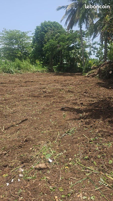 Petit-bourg · terrains à vendre avec projet maison · 99 750 €