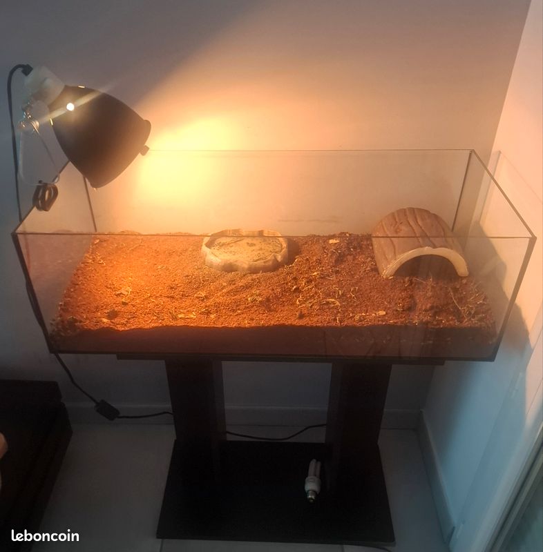 Terrarium a vendre (image 1)