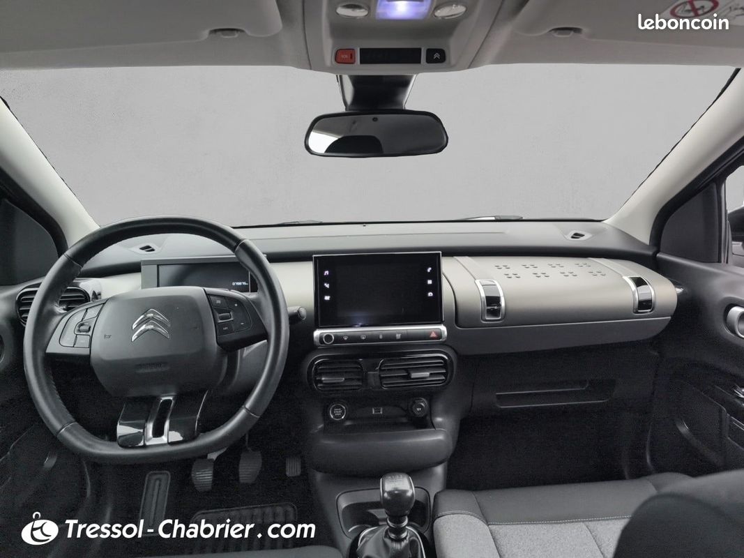 CITROEN C4 Cactus BlueHDi 100 S&S BVM6 Shine (image 10)