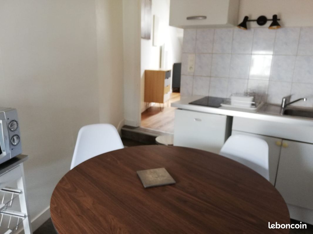 T1BIS hyper centre - Limoges 87000 Centre-Hôtel de Ville Emailleurs (image principale 1)