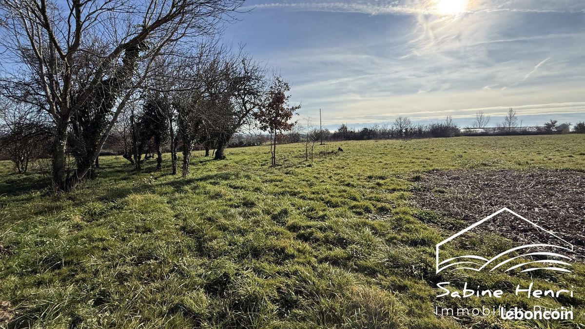 Propriété 5 pièces 134 m² (image 6)